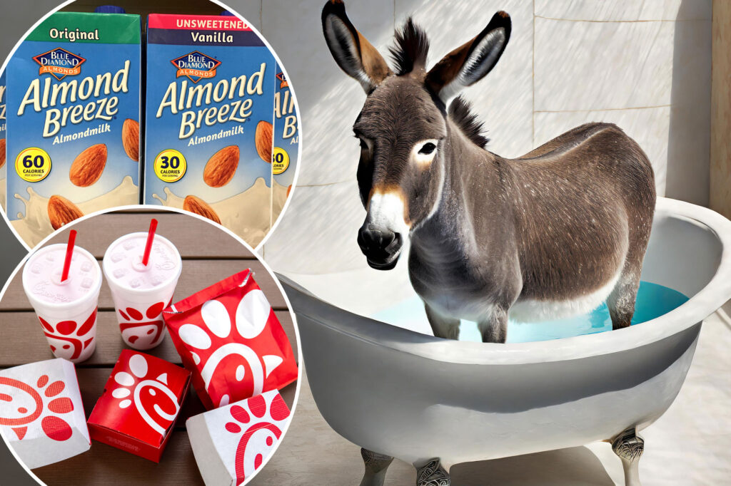 Why our politicians can’t stop passing absurd laws