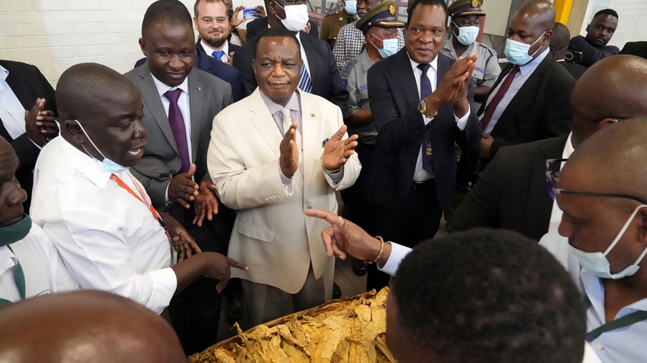 Zimbabwe VP says government will block LGBTQ scholarship initiative