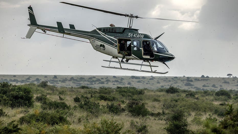 2 killed in midair plane collision above national park, Kenya police say