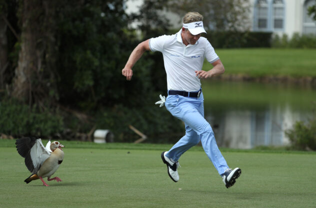 A Texas girl allegedly killed by a family friend is remembered as 'precious' during funeral service