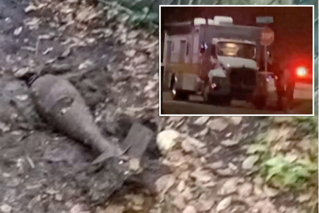 Dog digs up piece of ancient bomb in Florida backyard