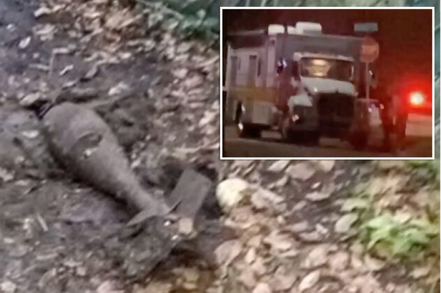 Dog digs up piece of ancient bomb in Florida backyard