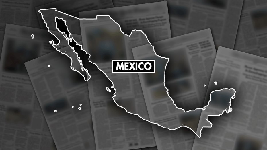 Mexico arrests 2 taxi drivers who beat, kicked German tourists at a club in Playa del Carmen