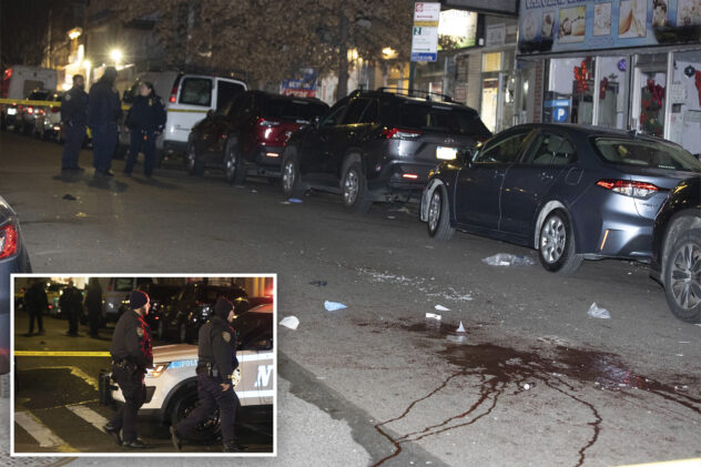 NYC man hit with murder charge for brutal New Year’s Day stabbing – Big Apple’s first of 2024: cops