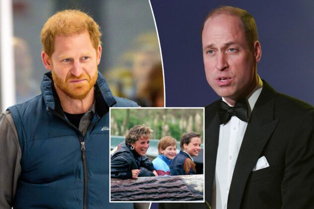 Prince William delivers speech at Diana Legacy Awards — as estranged brother Harry waits his turn