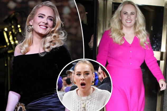 Rebel Wilson claims Adele ‘hates’ her in new memoir: ‘I have to be careful with what I say’