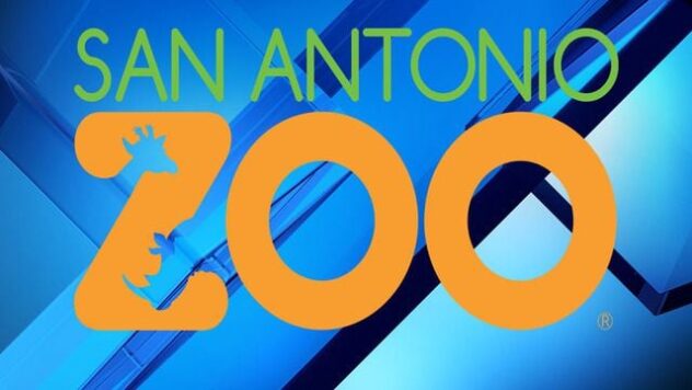 San Antonio Zoo to reimplement one-way traffic plan ahead of spring break