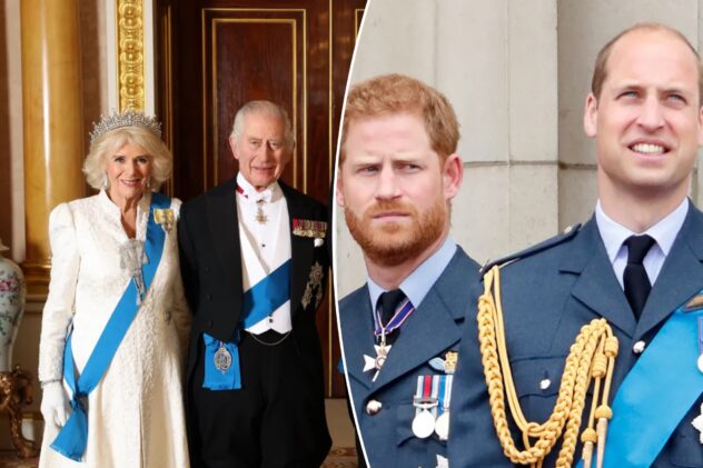Why Prince Harry is ‘distrustful’ of Prince William’s relationship with ‘wicked stepmother’ Queen Camilla