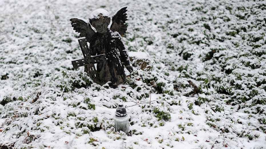 5 people, including 2 children, crushed to death after winds topple trees in Poland