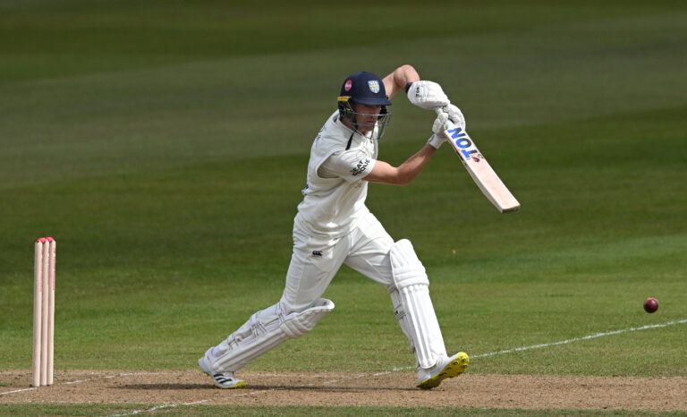 Ackermann and Robinson's contrasting innings underpin Durham