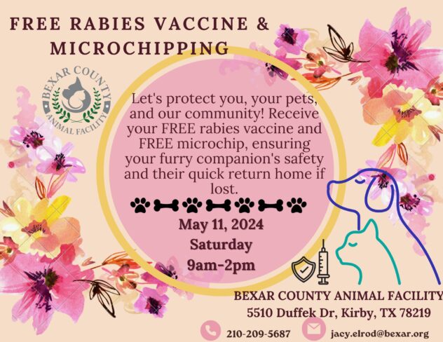 Bexar County to spend $10M to build second animal shelter on Southwest Side