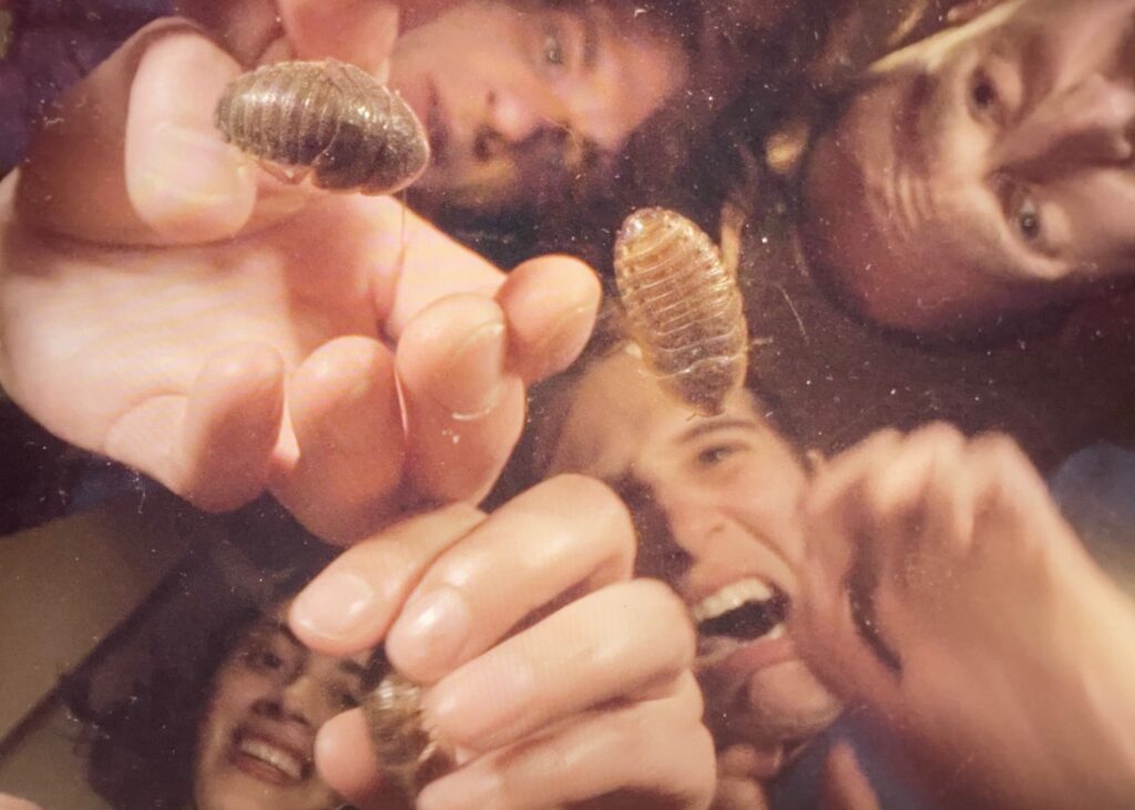 Crumb Announce North American Tour, Share Video for New Song “The Bug”: Watch