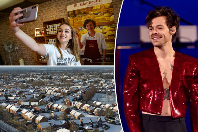 Harry Styles fans are mobbing his hometown — so officials are tapping teen tour guides