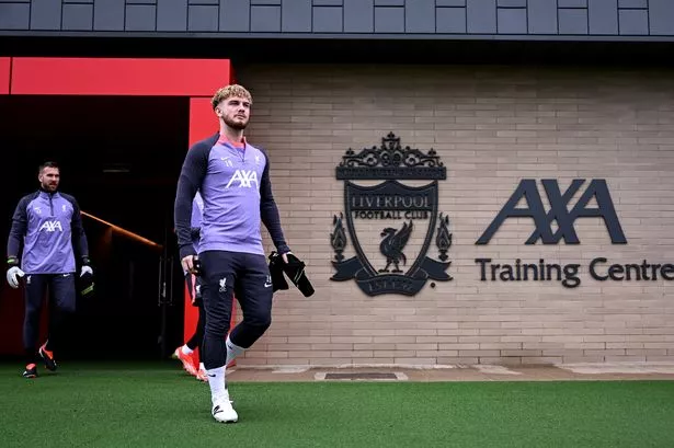 Harvey Elliott must leave Jürgen Klopp and Gareth Southgate no choice as Liverpool aim clear