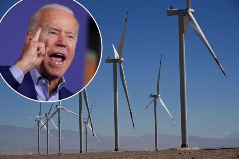 How the government is hurting environmentalism