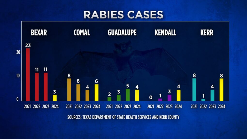 Local counties reporting more rabies cases in months than in entire years; state veterinarian says it’s not a spike