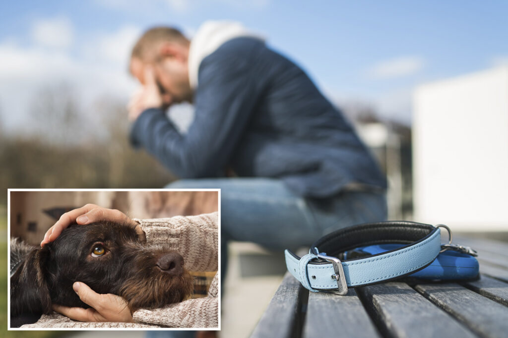 Push for pet bereavement leave on the rise at companies across US
