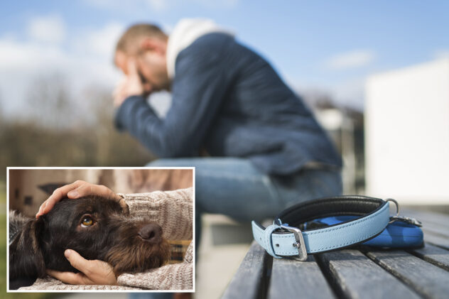Push for pet bereavement leave on the rise at companies across US