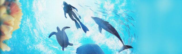 Review: Endless Ocean: Luminous (Switch) - A Meditative Marine Milieu, But Incredibly Shallow