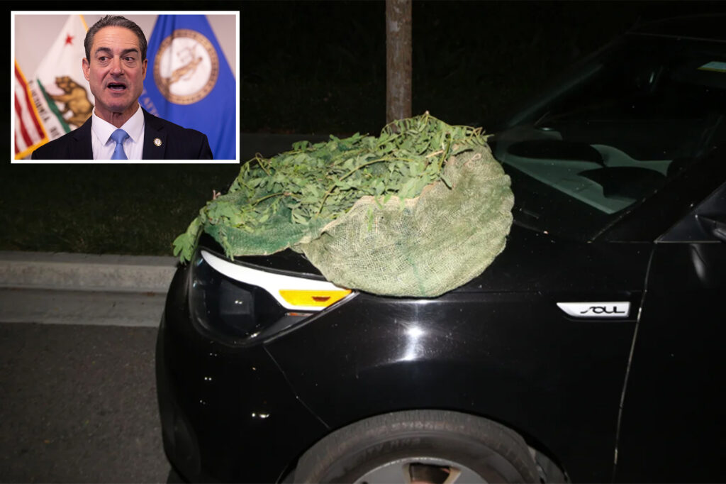 South American heist rings target luxurious US homes in growing trend with help from visa waiver program