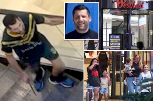 Sydney mall attack madman ‘focused on’ women, police say: ‘Avoided the men’