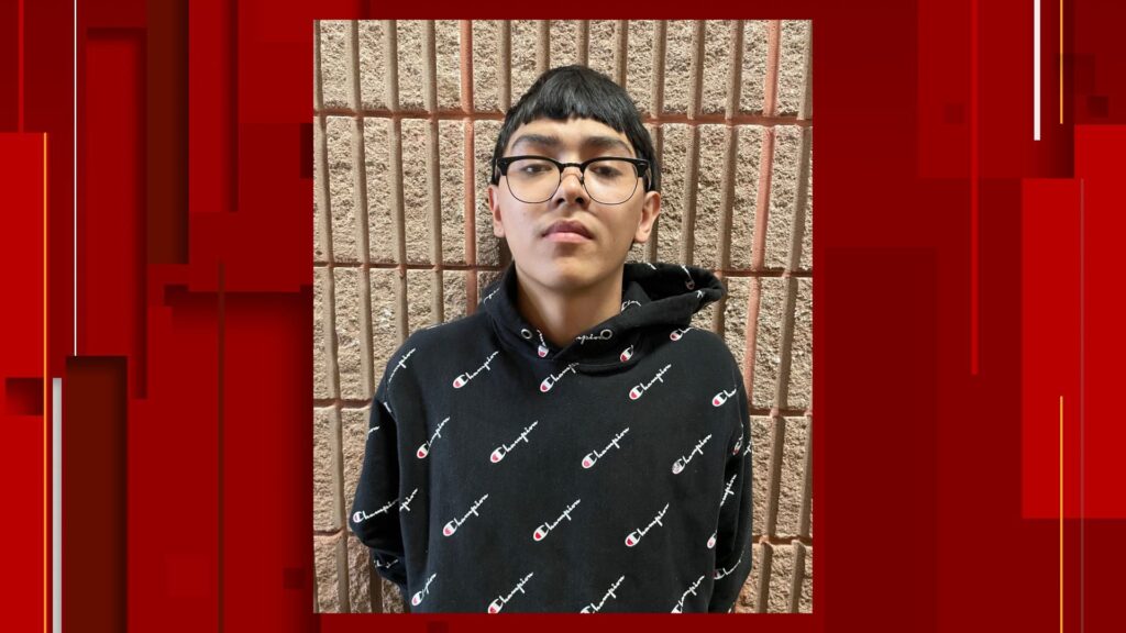 Teen driver charged with murder in shooting death connected to botched shoe sale, BCSO says