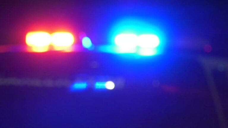 Texas infant dies after being attacked by three dogs, police say