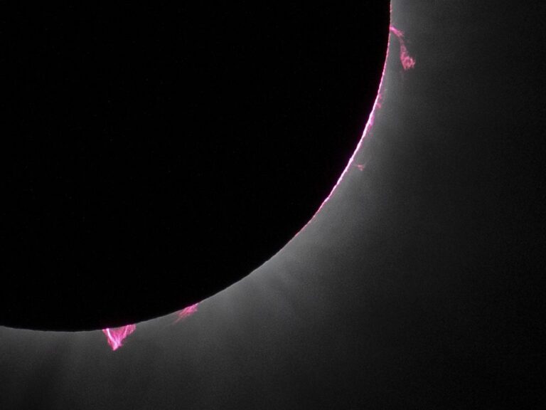 The Solar Eclipse, Joe Alwyn, Rihanna, and More