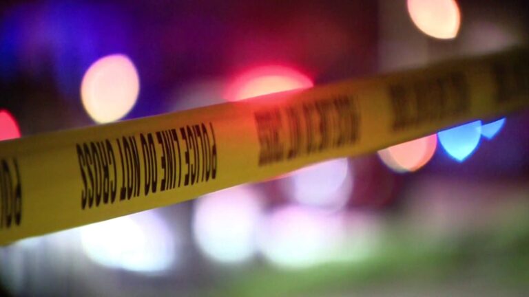 Woman killed by police after attacking officers with homemade weapons, Balcones Heights police say