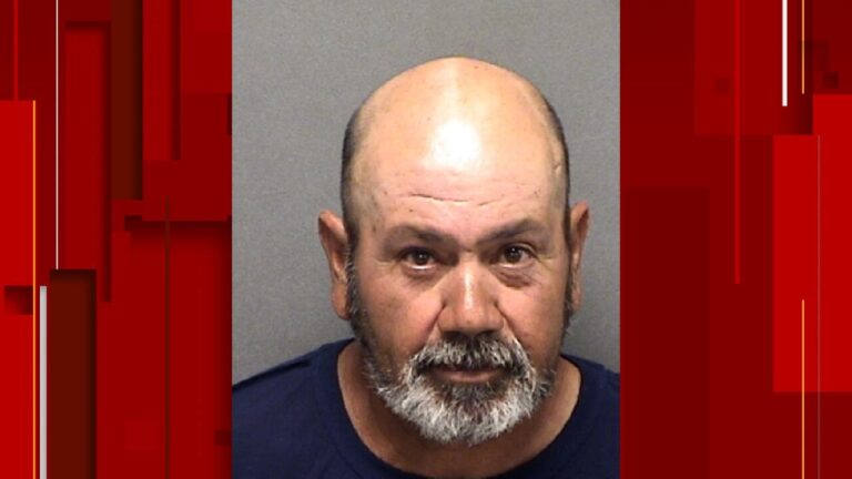 47 people detained after raid of cockfighting event in south Bexar County, BCSO says