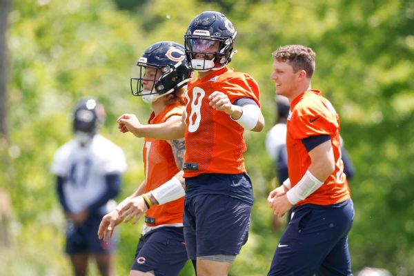 Bears vets lift up QB Williams after tough practice