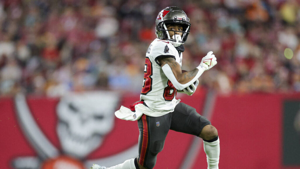 Bucs Cut Veteran WR