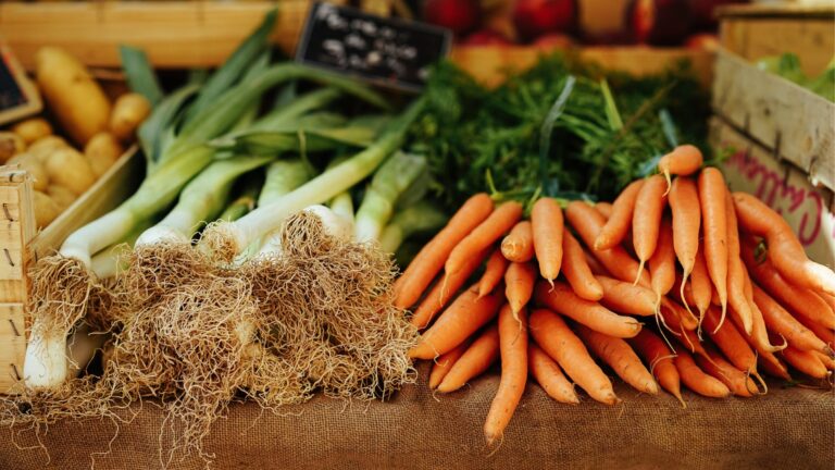 KIPP Texas, San Antonio Food Bank to host community food distribution event this Saturday