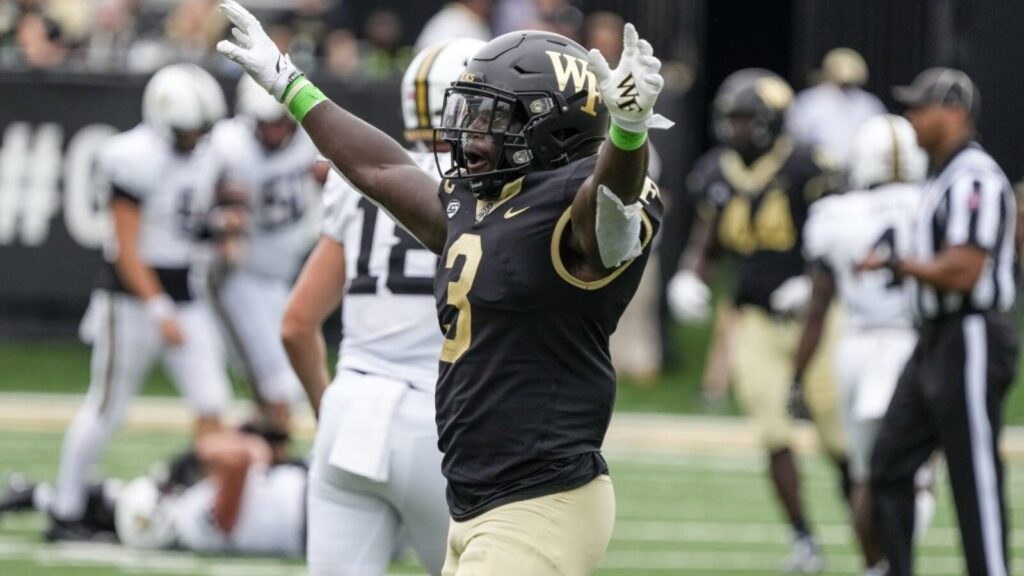 Malik Mustapha's versatility can help San Francisco 49ers handle potential Dre Greenlaw absence