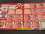 Parents outraged with 'rip-off' Euro 2024 sticker albums with dirty war between Panini and Topps meaning England players are missing - and it could cost £1k to fill in both books
