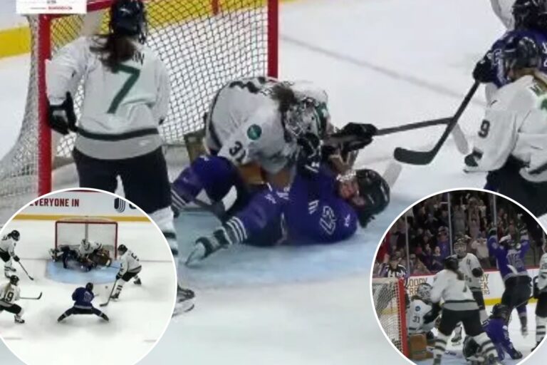 PWHL Minnesota has championship taken away in heartbreaking fashion with disallowed goal