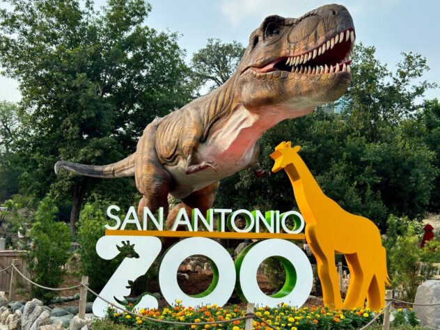 San Antonio Zoo opens new dinosaur-themed adventure park