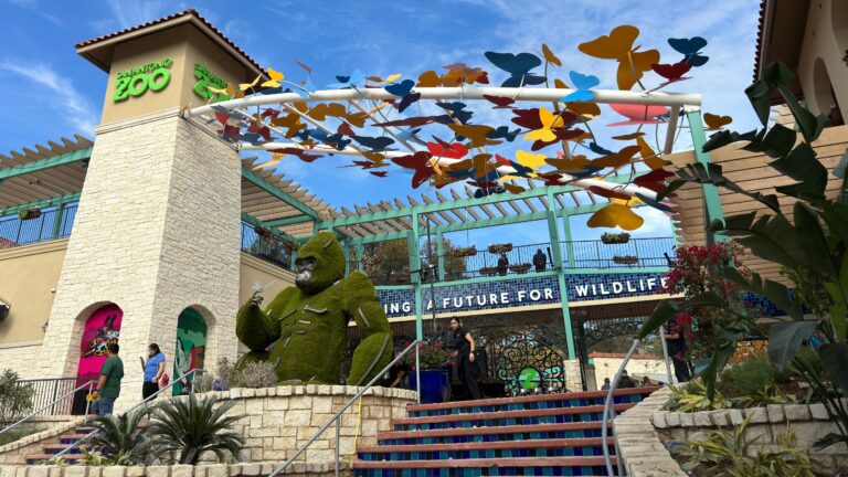 San Antonio Zoo to offer free admission for teachers and nurses