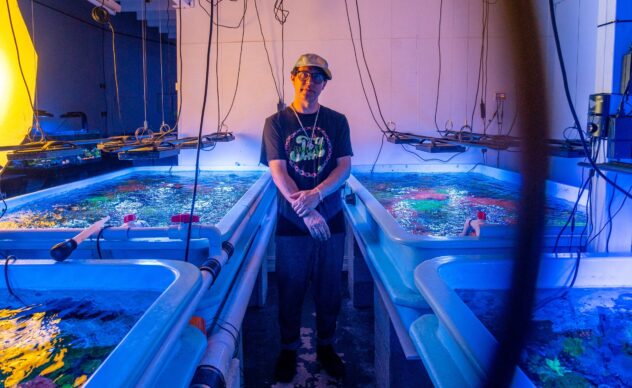 Animal Collective’s Avey Tare and Panda Bear Share New Song “Vampire Tongues”: Listen