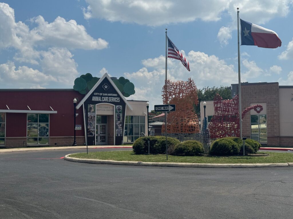 Community calls on city for communication in search for ACS director’s seat