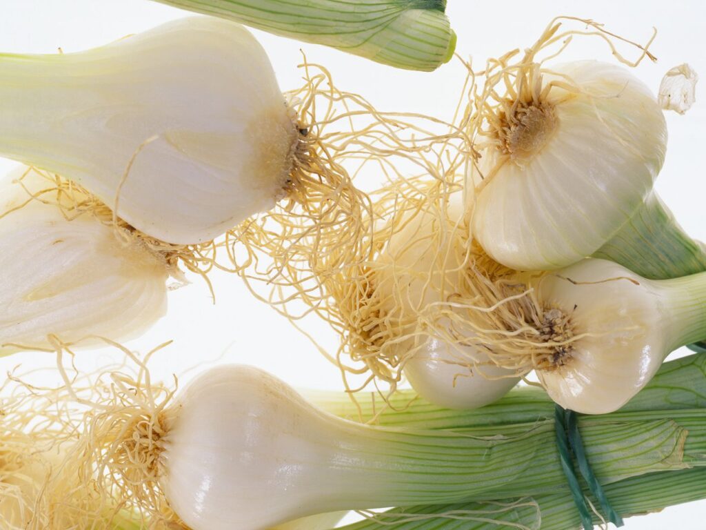 Mike Throws a Tantrum and Jesse Can’t Say “Onion”