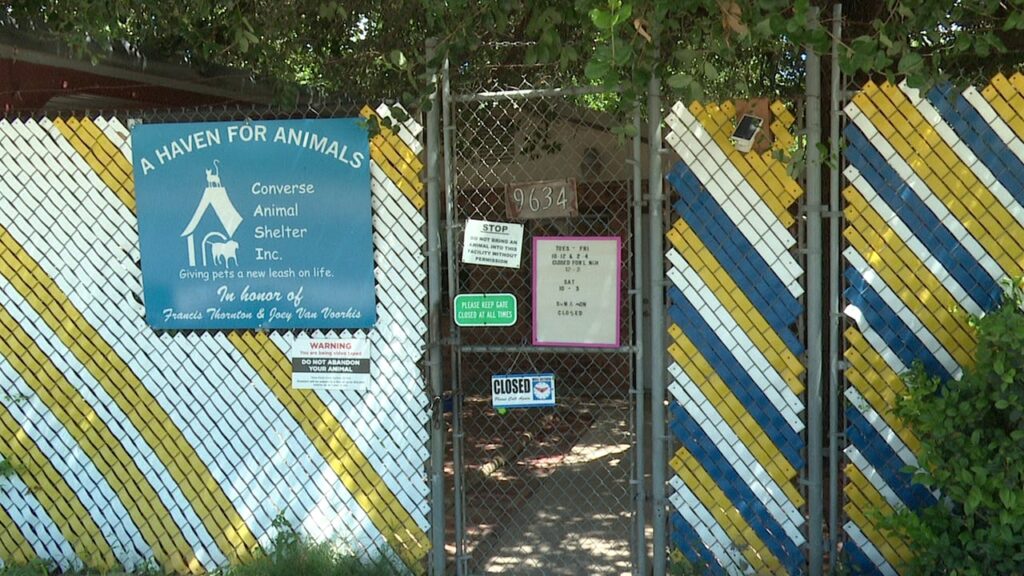 ‘We need help’: Converse Animal Shelter says street construction causes flooding