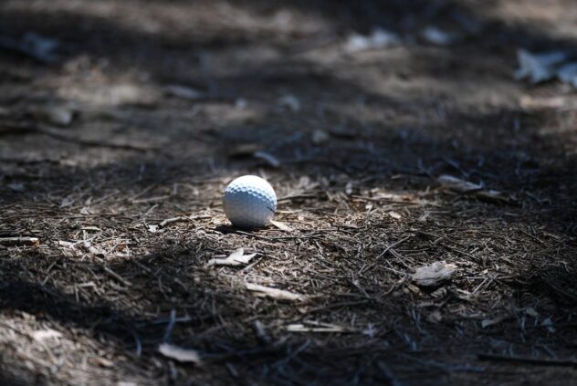 Angel Hidalgo odds to win the 2024 Open Championship