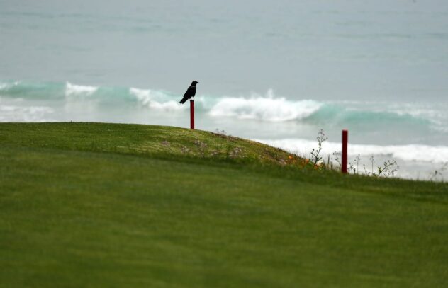 Blaine Hale tee times, live stream, TV coverage | John Deere Classic, July 4-7