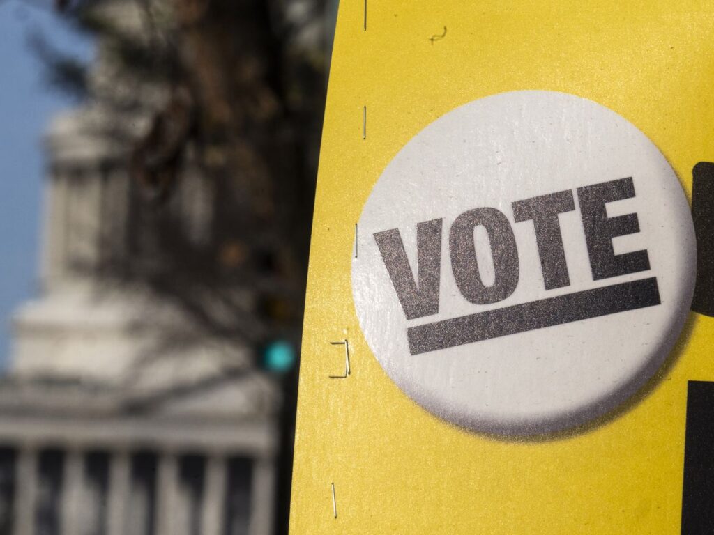 Shaniqua McClendon on Political Media and Voting