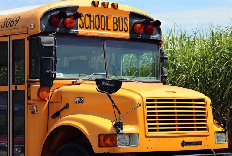 8-year-old girl injured in crash involving Schertz-Cibolo-Universal City ISD bus, Schertz police say