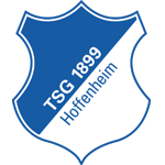 Hoffenheim vs Holstein Kiel Highlights