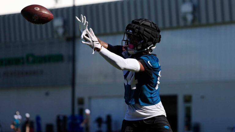 Jacksonville Jaguars rookie just made the play of the summer during training camp