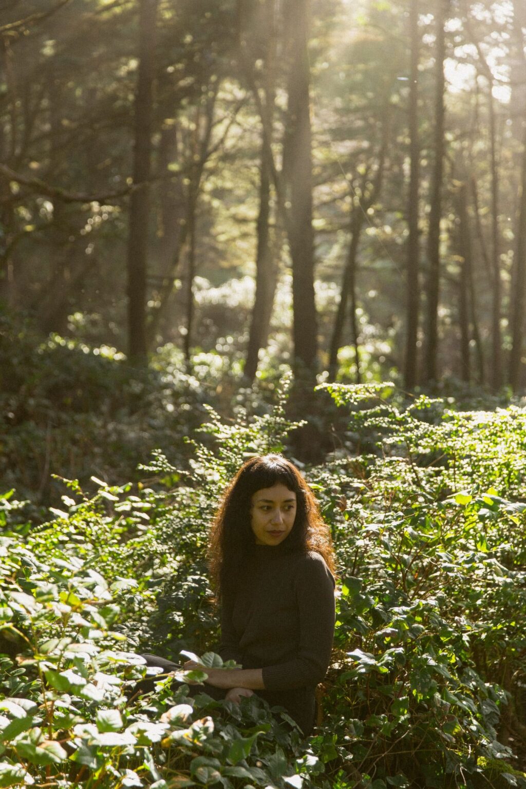 Haley Heynderickx Announces New Album Seed of a Seed, Shares “Foxglove” Video: Watch