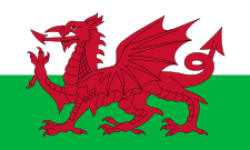 Wales vs Turkey Highlights